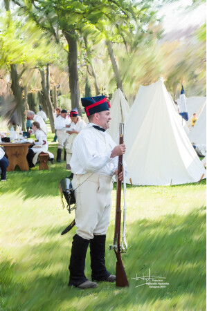 RECREACION NAPOLEONICA 