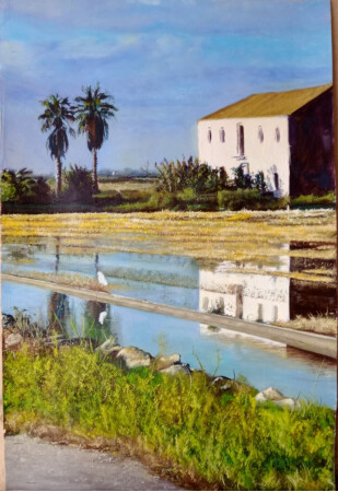 Arrozales de valencia 