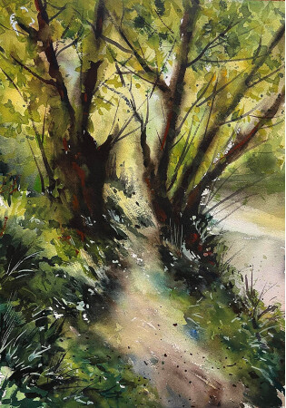 camino junto al rio nalón