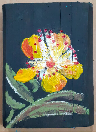 Floreciendo