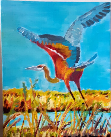 En la albufera