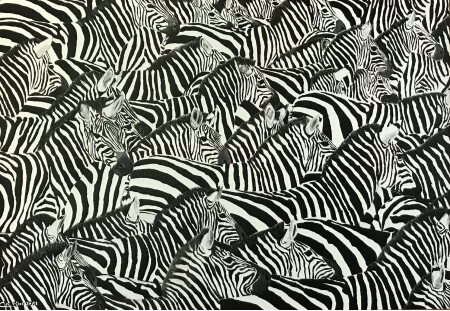 An Inordinate Fondest for Stripes 