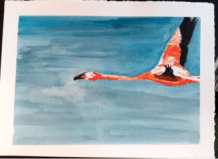 Flamenco