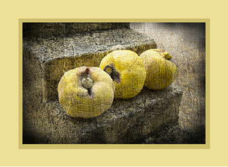 Quinces / Menbrillos