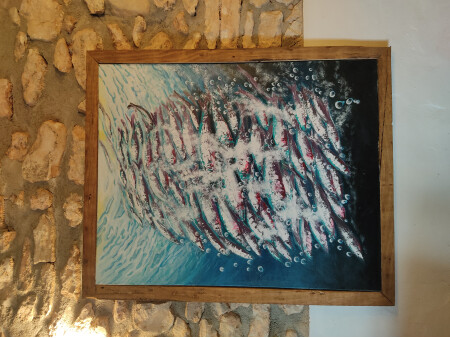Sardinas en el mar