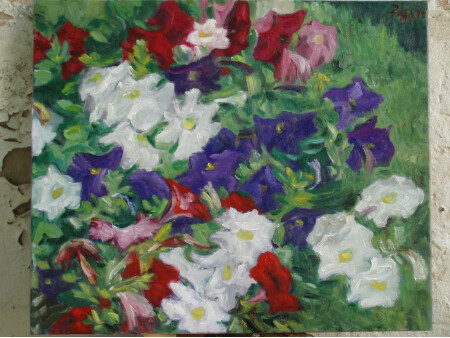 Petunias