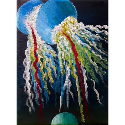 Jellyfish