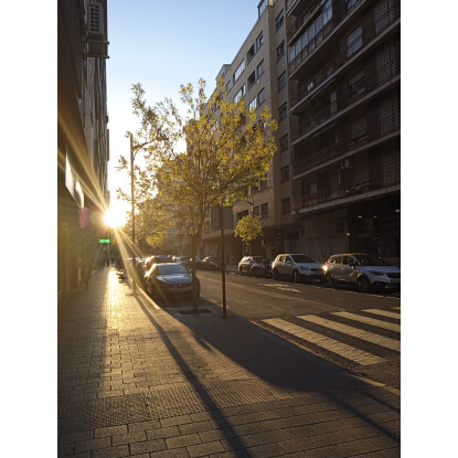 ATARDECER EN LA AVENIDA