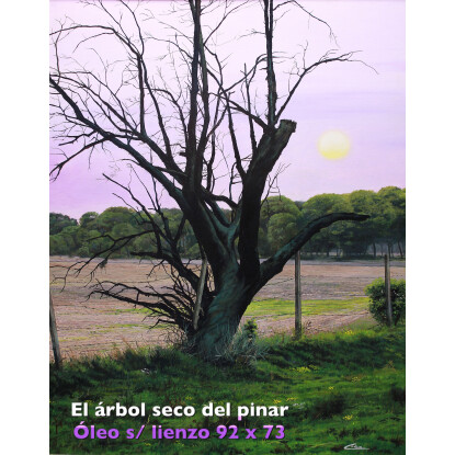 Árbol seco en el Pinar