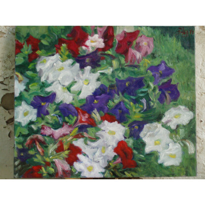 Petunias
