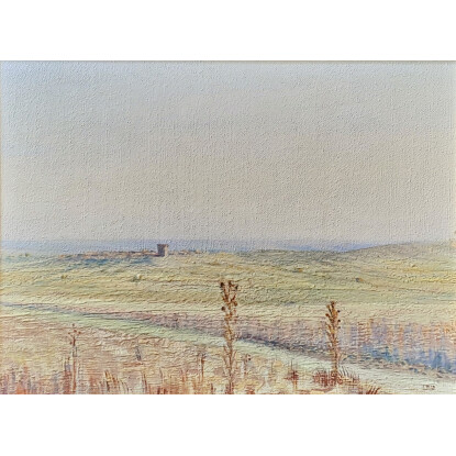 Campos de Castilla