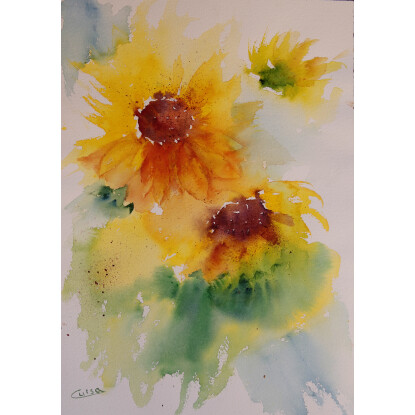 Sunflowers