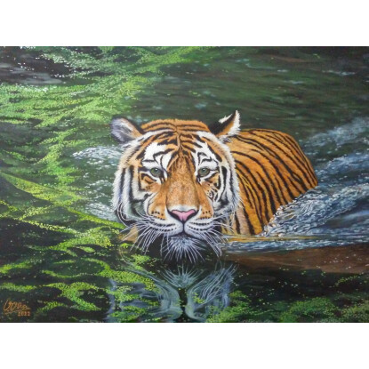 Tigre en pantano