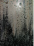 Serie/Pensamientos/burbujas