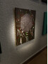 Planeta Arte