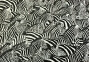 An Inordinate Fondest for Stripes 