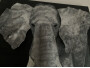 Elefante 3D