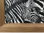 An Inordinate Fondest for Stripes 