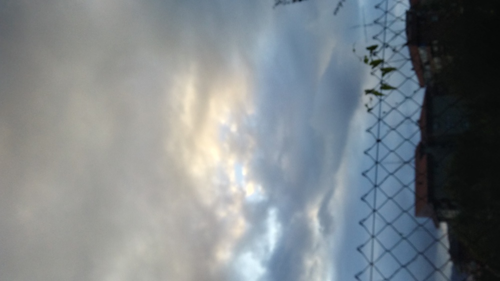 Foto de la galería