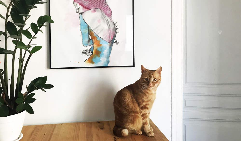 Foto de la galería
